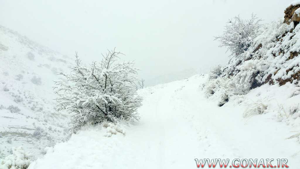 بارش برف روستای گنک