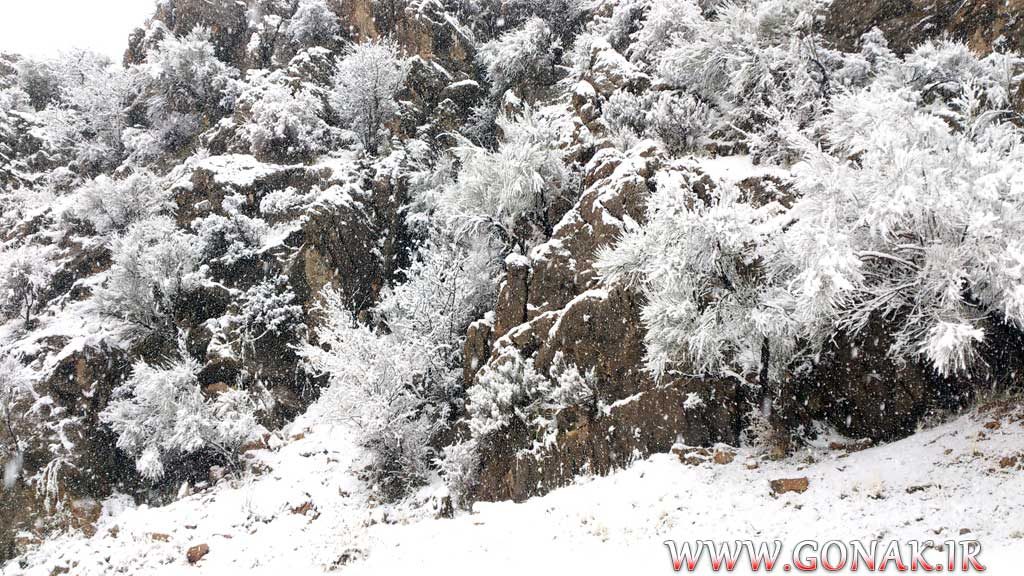 بارش برف روستای گنک