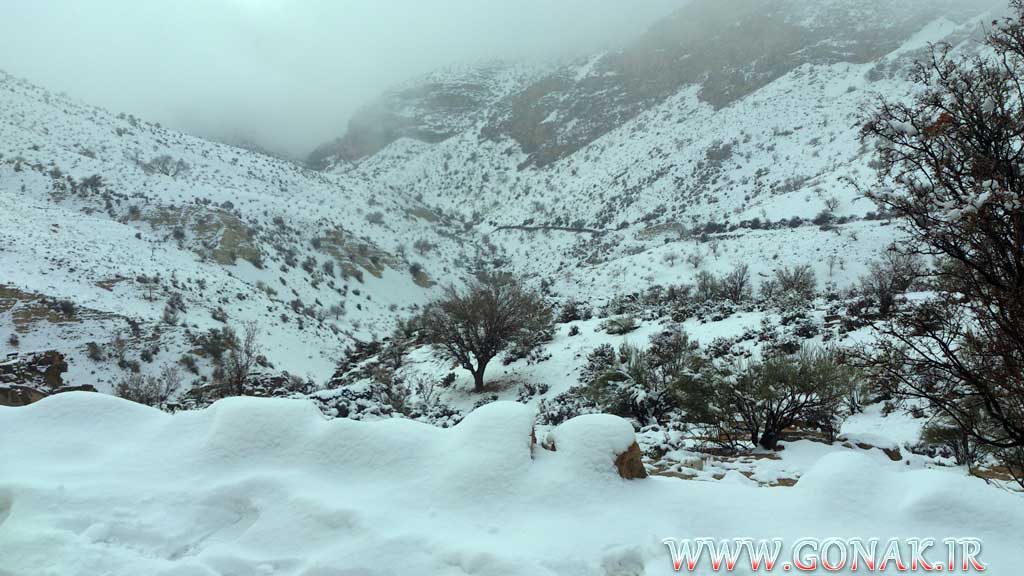 بارش برف روستای گنک