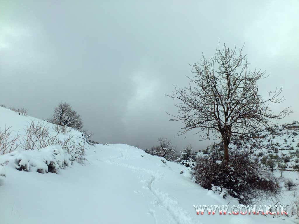 بارش برف روستای گنک