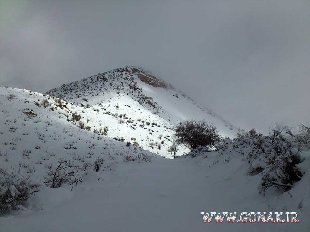 بارش برف روستای گنک