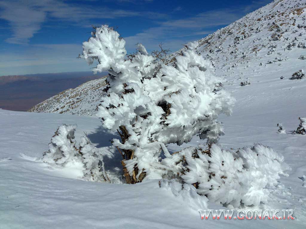 بارش برف روستای گنک