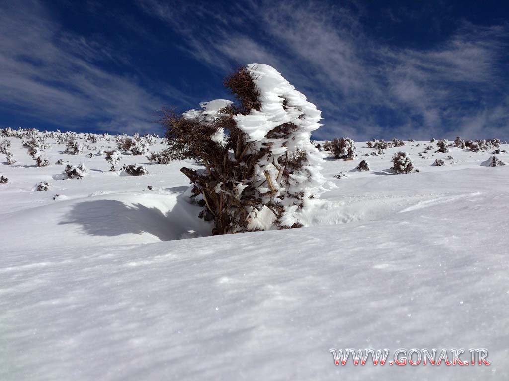 بارش برف روستای گنک