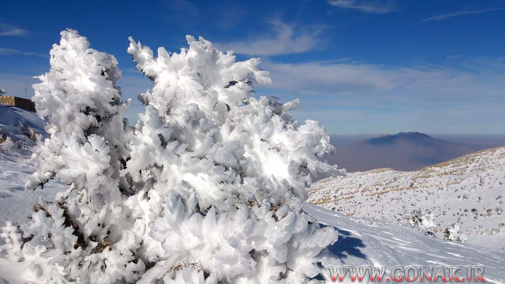 بارش برف روستای گنک